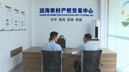 瓊海市農村產權交易服務中心揭牌成立，控股公司助力鄉村振興